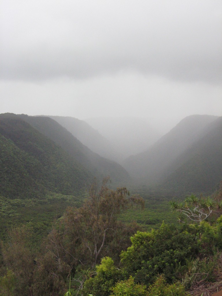 View of Pololu Valley, HI - Photo by Katrina Ferguson