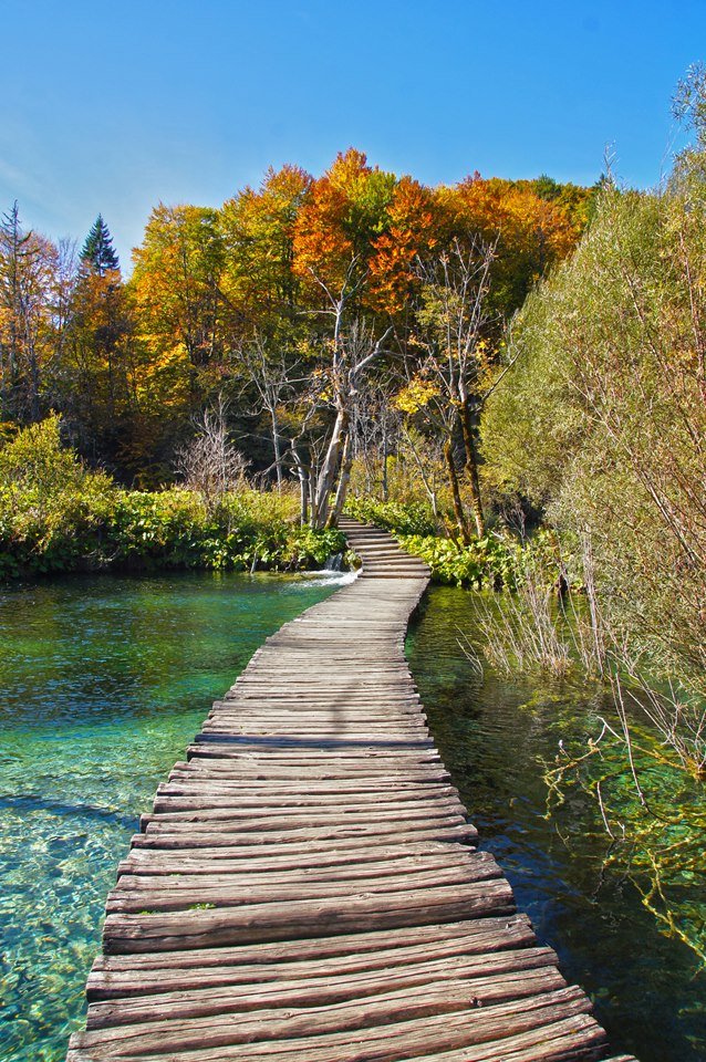Plitvice Lakes - Photo by Domagoj Sever
