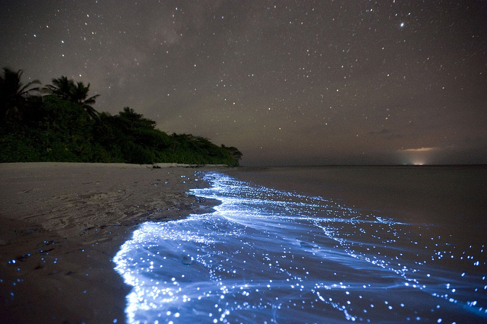 Sea of Stars on Vaadhoo Island in the Maldives