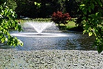 Fountain pond