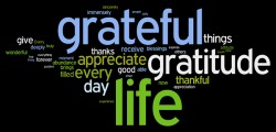 Donna Marie | Living in Gratitude