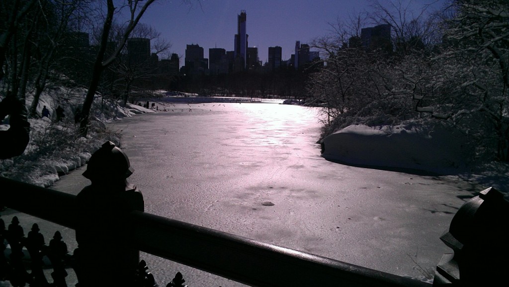 The remains of Nemo (NYC) - Photo by Bob Mundy 