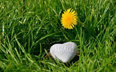 Experience Happiness Moment-to-Moment