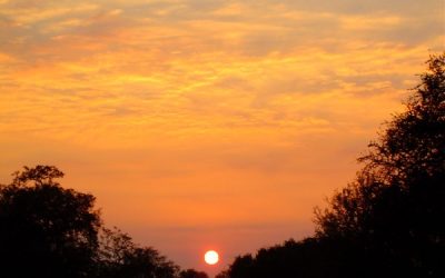 Today’s #SoulFood | Jon Kabat-Zinn