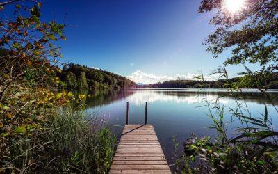 Today’s #SoulFood | Rupert Spira