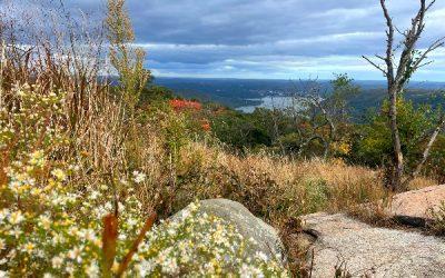 Today’s #SoulFood | Sharon Salzberg