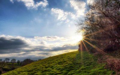 Today’s #SoulFood | Alice Morse Earle