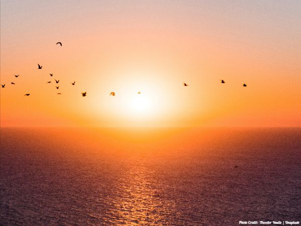Today’s #SoulFood | Robert Louis Stevenson