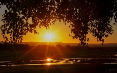 Today’s #SoulFood | Pema Chödrön