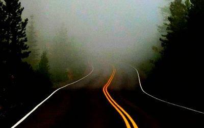 When Your Career Path Gets Disrupted | Freedom Through Better Questions