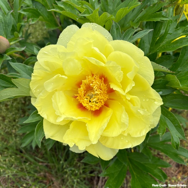 Today’s #SoulFood | Heather Plett