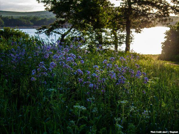 Today’s #SoulFood | Mark Twain