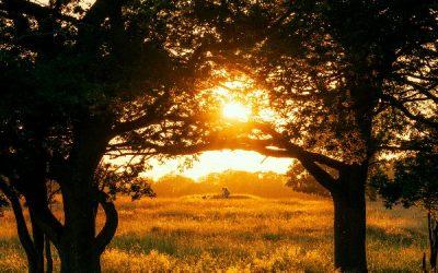Today’s #SoulFood | Johann Wolfgang von Goethe