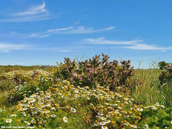 Today’s #SoulFood | Fred Rogers