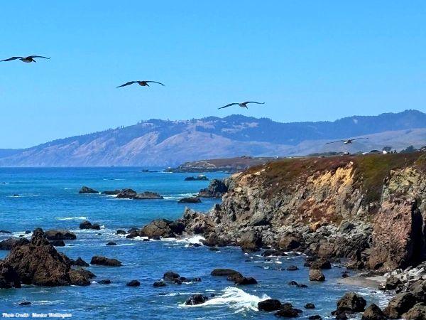 Today’s #SoulFood | Robert Frost