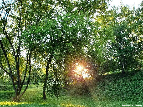 Today’s #SoulFood | Suze Orman