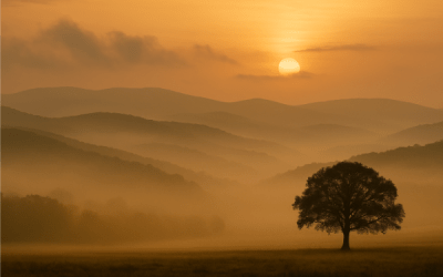 What If Age Is Just Data?