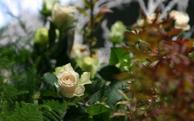 Where is Your Focus?