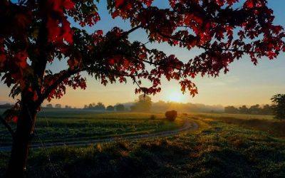 Today’s #SoulFood | Darren Hardy