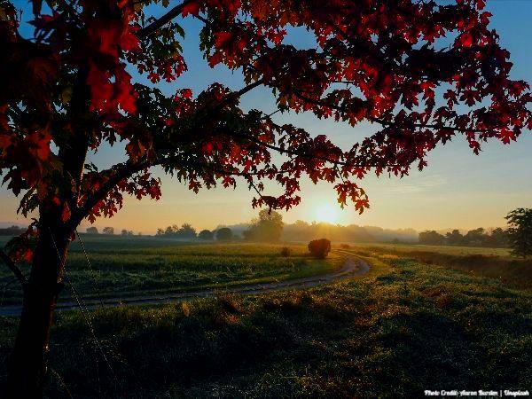 Today’s #SoulFood | Darren Hardy