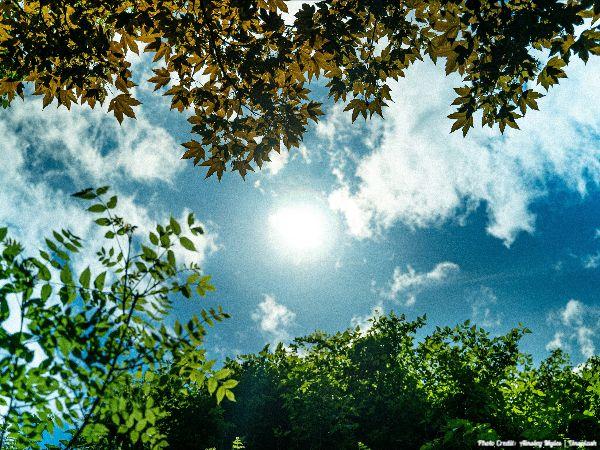 Today’s #SoulFood | Kenneth Branagh