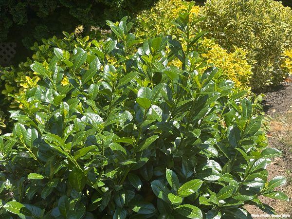 Today’s #SoulFood | Bryant McGill