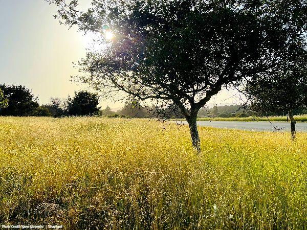 Today’s #SoulFood | Natalie Lue