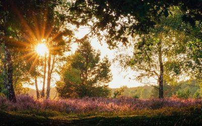 Today’s #SoulFood | B. B. King