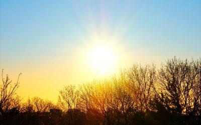 Today’s #SoulFood | Thích Nhất Hạnh