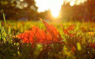 Today’s #SoulFood | Mark Twain