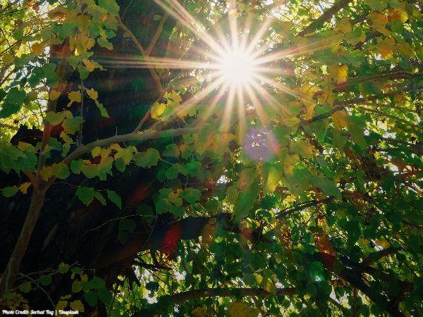 Today’s #SoulFood | Ralph Marston