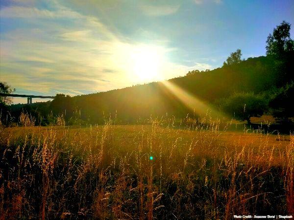Today’s #SoulFood | Polly Berrien Berends