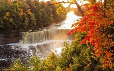 Today’s #SoulFood | Joyce Brothers