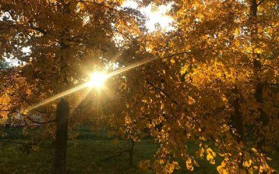 Today’s #SoulFood | Dale Carnegie