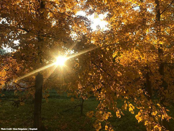 Today’s #SoulFood | Dale Carnegie