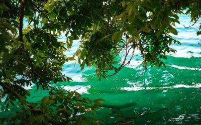 Today’s #SoulFood | William Ward