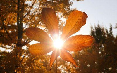 Today’s #SoulFood | Randy Pausch