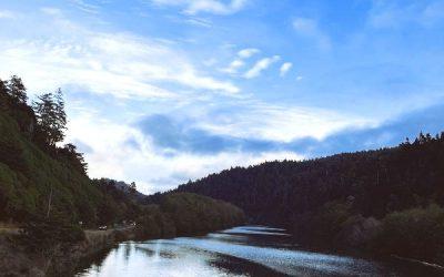 Today’s #SoulFood | Mahatma Gandhi