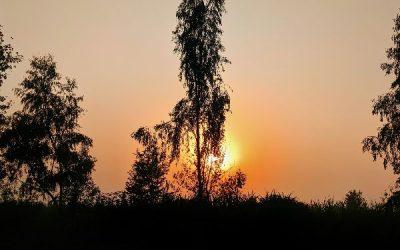 Today’s #SoulFood | John Wesley