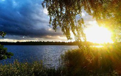 Today’s #SoulFood | Princess Diana