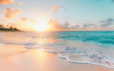 Today’s #SoulFood | Dan Millman