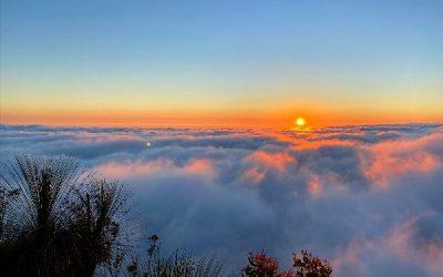 Today’s #SoulFood | Deborah Reber