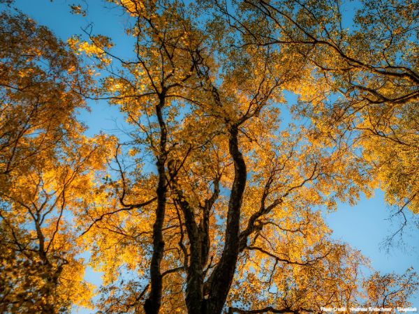 Today’s #SoulFood | William Blake