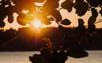 Today’s #SoulFood | Louis L’Amour