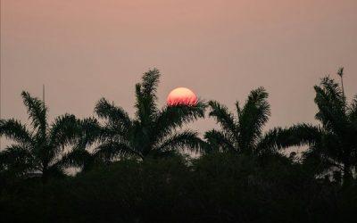 Today’s #SoulFood | Mary Kay Ash