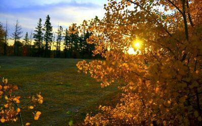 Today’s #SoulFood | Barbara Hall