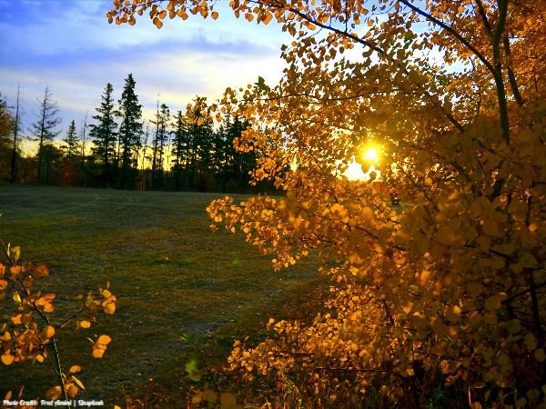Today’s #SoulFood | Barbara Hall
