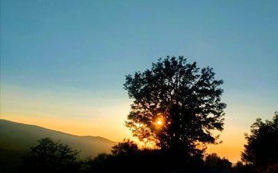 Today’s #SoulFood | Desmond Tutu