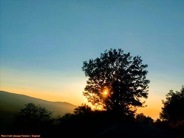 Today’s #SoulFood | Desmond Tutu