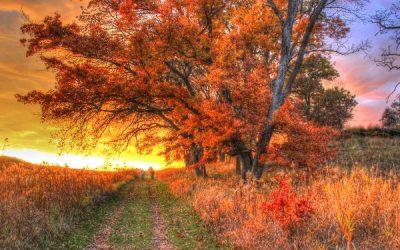 Today’s #SoulFood | Gabrielle Bernstein